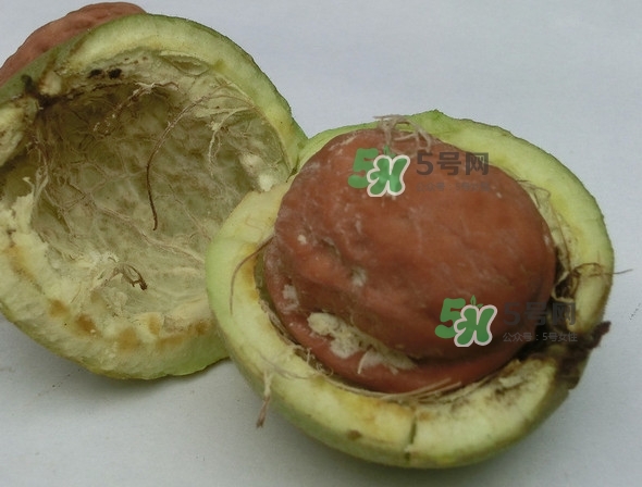 核桃最外面的青皮有什么用？為什么摸了核桃的青皮手會(huì)黑？