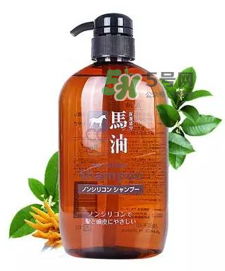 熊野馬油洗發(fā)水起頭屑嗎？KUMANO洗發(fā)水用完長(zhǎng)頭屑嗎？