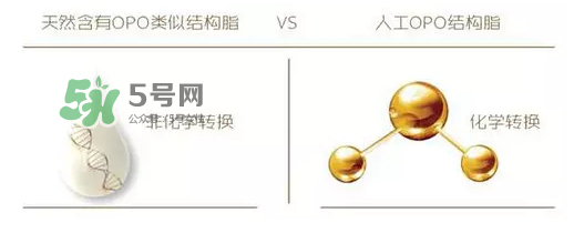奶粉里面的OPO是什么？opo是天然的還是后期添加的？