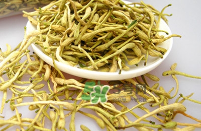 金銀花茶是去火的嗎？金銀花茶有什么功效與作用