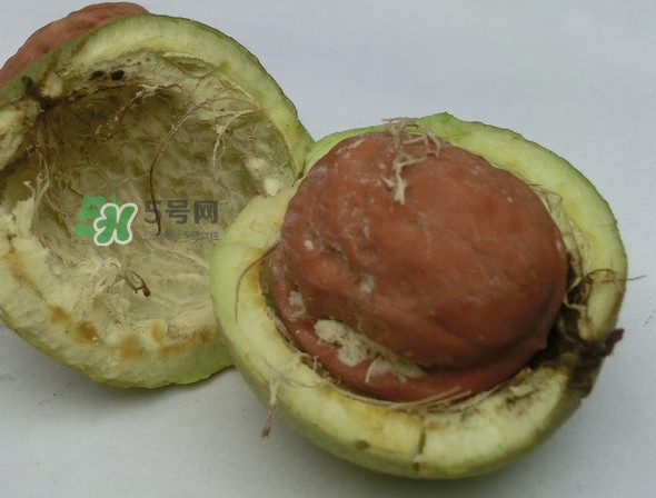 青皮核桃是怎么變成干核桃的？吃核桃為什么有酒味