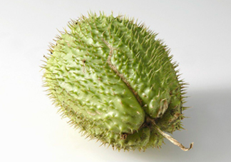 刺果番荔枝多少錢一斤？刺果番荔枝哪里有賣？