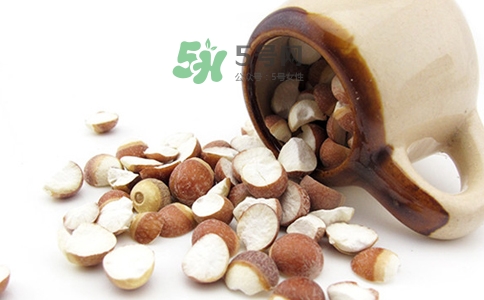 三伏天可以補腎嗎？三伏天可以進補嗎？
