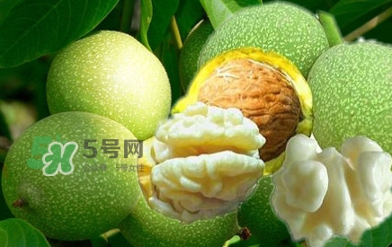 青皮核桃?guī)捉锍鲆唤锔珊颂?？青皮核桃什么時(shí)候成熟