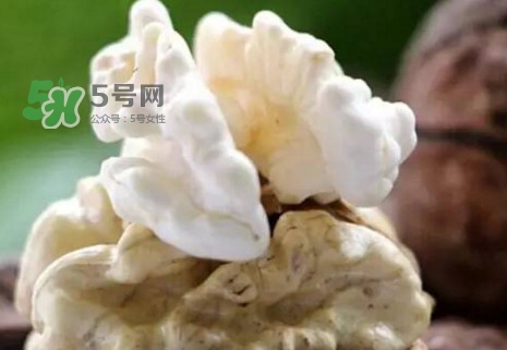 青皮核桃?guī)捉锍鲆唤锔珊颂?？青皮核桃什么時(shí)候成熟