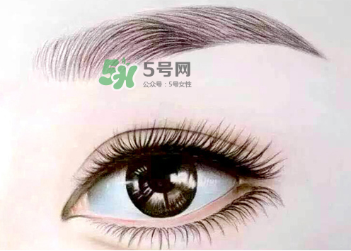 三伏天能紋眉嗎？三伏天紋眉毛好嗎？