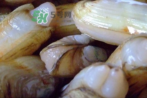 蟶子怎么抓？孕婦能吃蟶子嗎
