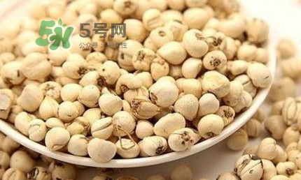 川貝母可以直接吃嗎？川貝母可以泡水喝嗎