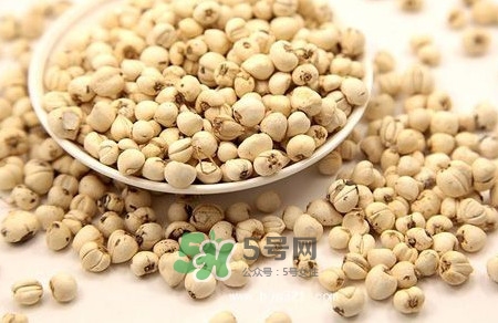 川貝母是苦的嗎？川貝母是涼性的嗎