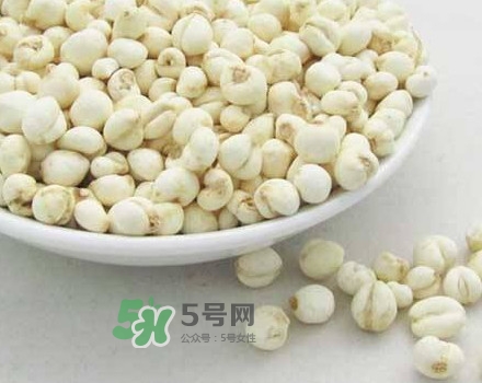 川貝母是川貝嗎？川貝母是酸性還是堿性？
