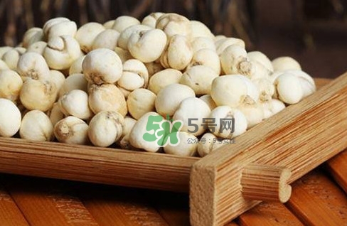 川貝母可以直接吃嗎？川貝母可以泡水喝嗎