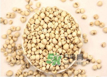 川貝母是苦的嗎？川貝母是涼性的嗎