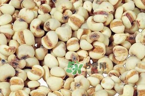 川貝母可以直接吃嗎？川貝母可以泡水喝嗎