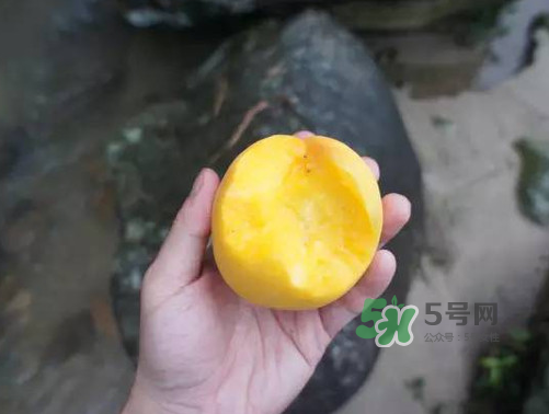 炎陵黃桃什么時(shí)候成熟？炎陵黃桃好吃嗎？