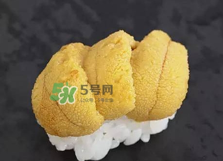 海膽怎么處理？海膽可以生吃嗎？