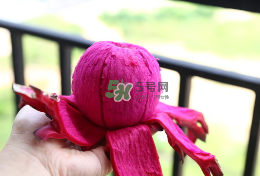 紅心火龍果能天天吃嗎？每天吃一個紅心火龍果好嗎？