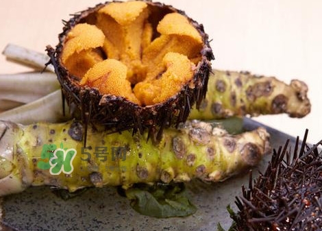 被海膽刺到怎么辦？吃海膽對(duì)身體有什么好處