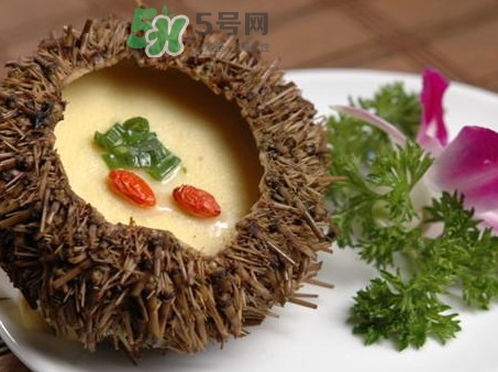 海膽死了還能吃嗎？海膽不能跟什么一起吃