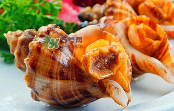 為什么海螺殼里面會(huì)有聲音？海螺和韭菜能不能一起吃