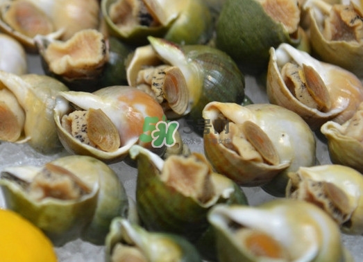 海螺怎么做好吃？海螺怎么清洗干凈