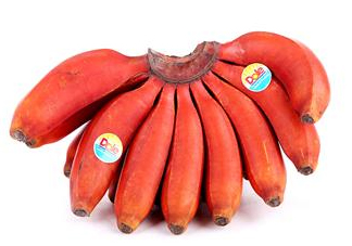 紅香蕉是哪里的特產(chǎn)？紅香蕉什么時(shí)候成熟？