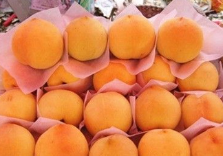 錦繡黃桃什么時(shí)候成熟？錦繡黃桃?guī)自鲁墒欤?><p><strong>錦繡黃桃什么時(shí)候成熟？錦繡黃桃?guī)自鲁墒欤?/strong></p></a></li> <li><a href=