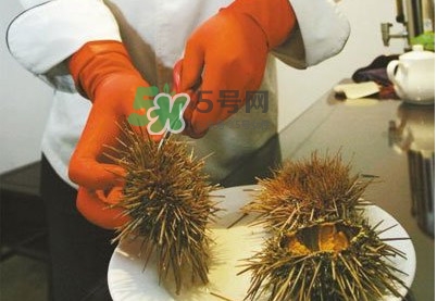海膽是發(fā)物嗎？海膽是寒性的嗎