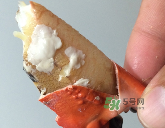 赤甲紅有母蟹嗎？赤甲紅為什么沒有母蟹？