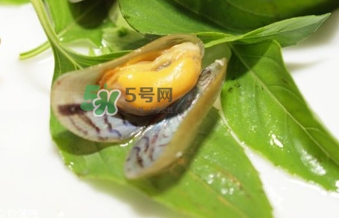 薄殼怎么讀？薄殼怎么洗干凈