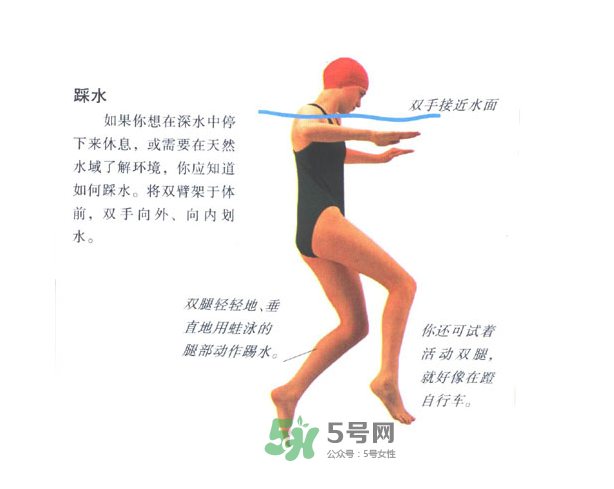 游泳怎么踩水？游泳踩水技巧圖解
