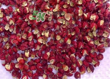花椒水泡腳能降血壓嗎？泡腳是干花椒好還是鮮花椒好