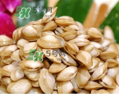 海瓜子怎么養(yǎng)？如何挑選海瓜子