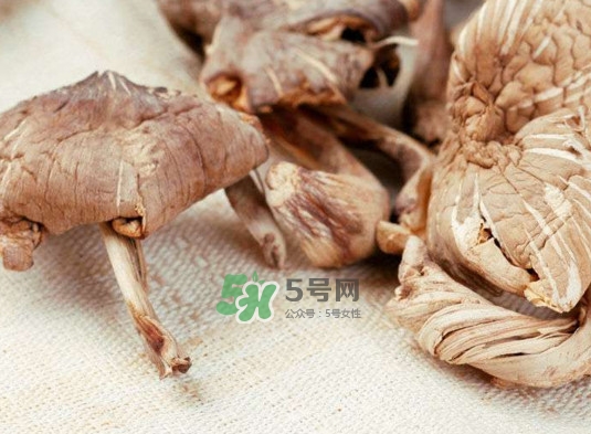 雞樅菌怎么讀？雞樅菌怎么做好吃？