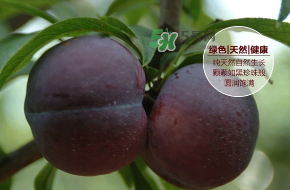 黑布林什么時(shí)候吃最好？黑布林什么人不能吃？
