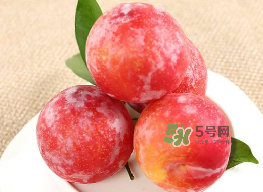紅布林孕婦可以吃嗎？孕婦可以吃紅布林嗎？