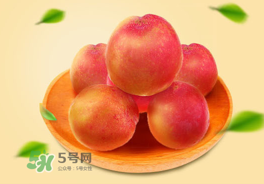 紅布林孕婦可以吃嗎？孕婦可以吃紅布林嗎？