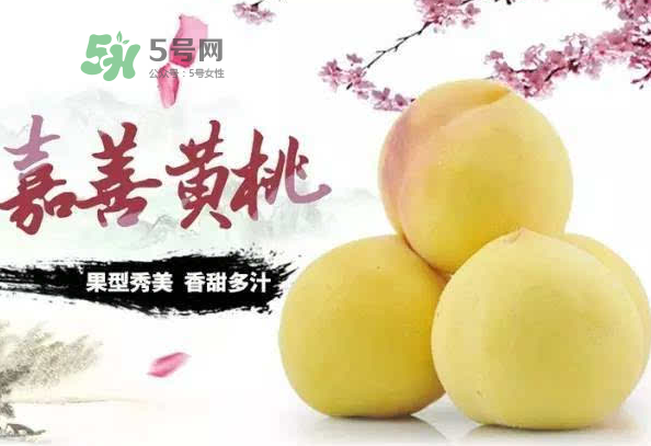 嘉善黃桃多少錢一斤？嘉善黃桃的上市時(shí)間