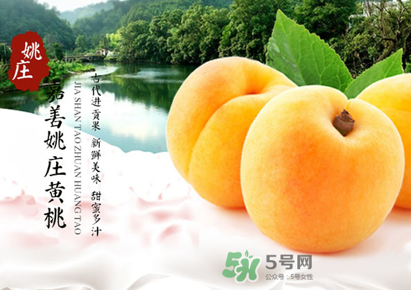 嘉善黃桃多少錢一斤？嘉善黃桃的上市時(shí)間