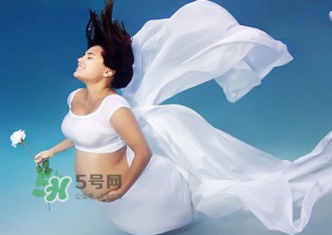 家里有寵物狗對(duì)孕婦好嗎？懷孕了家里有寵物要緊嗎？