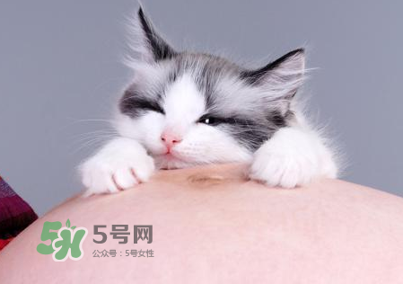 孕婦被貓抓了怎么辦？孕婦被貓抓傷了對(duì)寶寶有什么影響？