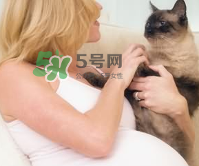孕婦被貓抓了怎么辦？孕婦被貓抓傷了對(duì)寶寶有什么影響？