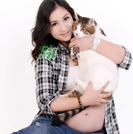 孕婦被貓抓了怎么辦？孕婦被貓抓傷了對(duì)寶寶有什么影響？