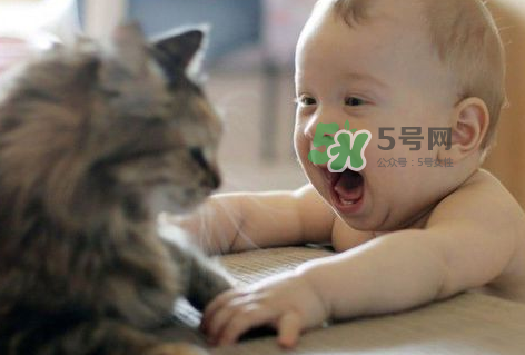 嬰兒被貓抓了怎么辦？嬰兒被貓咪咬了怎么辦？