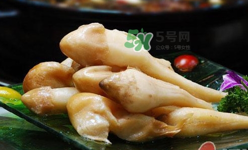 雞樅菌什么時(shí)候有？雞樅菌生長(zhǎng)在什么地方
