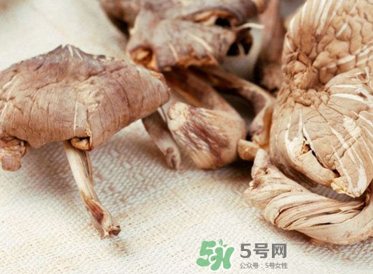 雞樅菌有毒嗎？雞樅菌不能和什么一起吃？