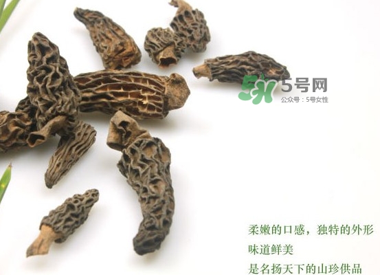 野生羊肚菌多少錢一斤？干羊肚菌多少錢一斤