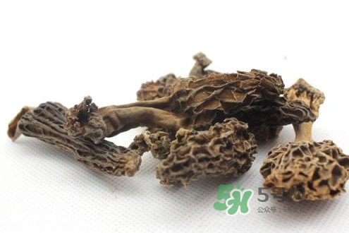 羊肚菌能治什么??？羊肚菌能冷凍保鮮嗎