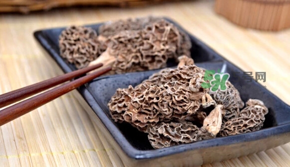 羊肚菌可以泡水喝嗎？羊肚菌可以燉鴿子嗎