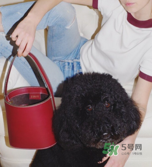 staud水桶包多少錢？staud水桶包專柜價格