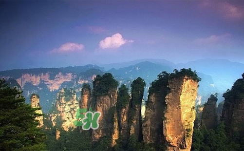 夏天去哪里旅游最好？夏天旅游哪里涼快？